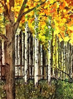 Kenneth Brown