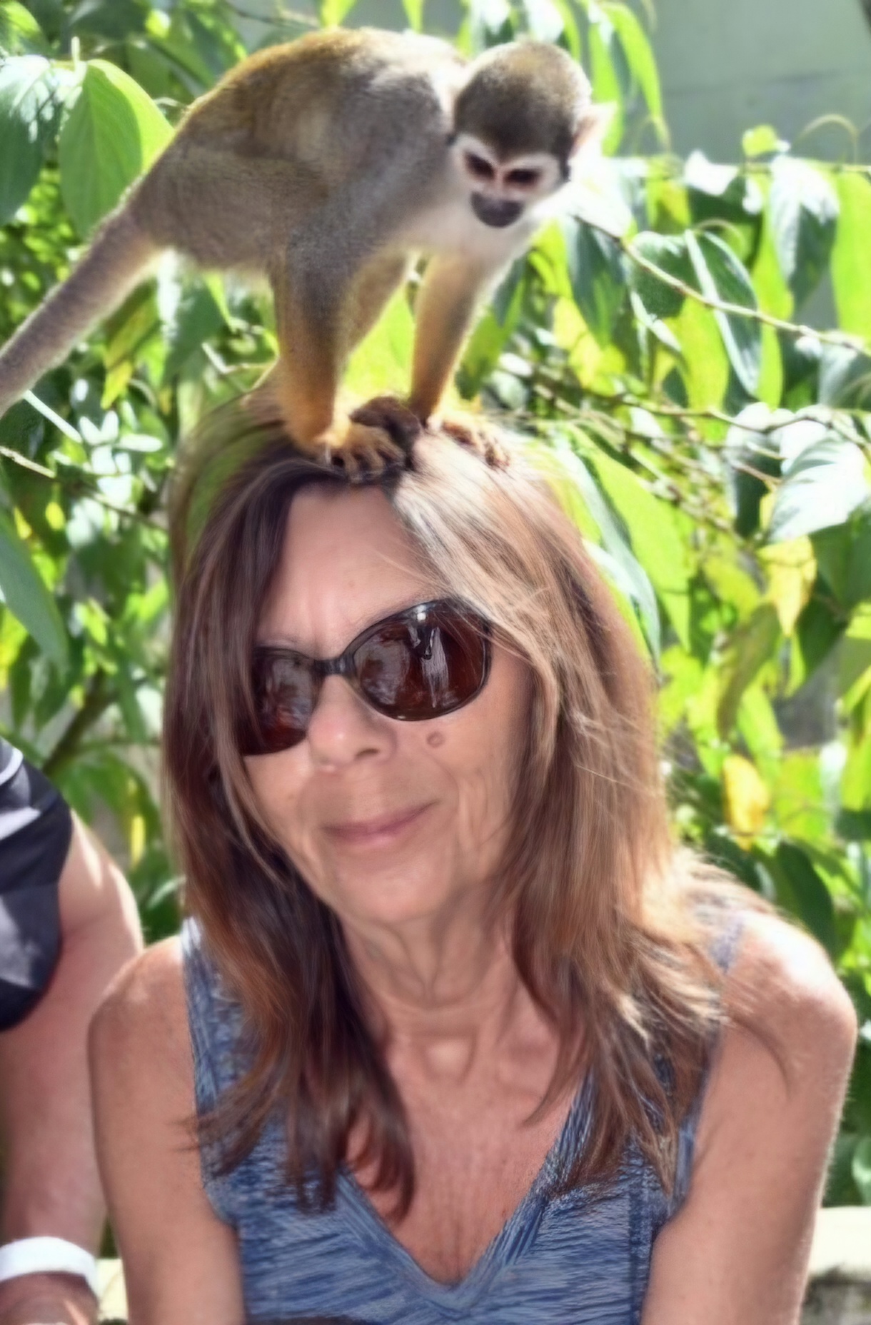 Cindy Chisholm