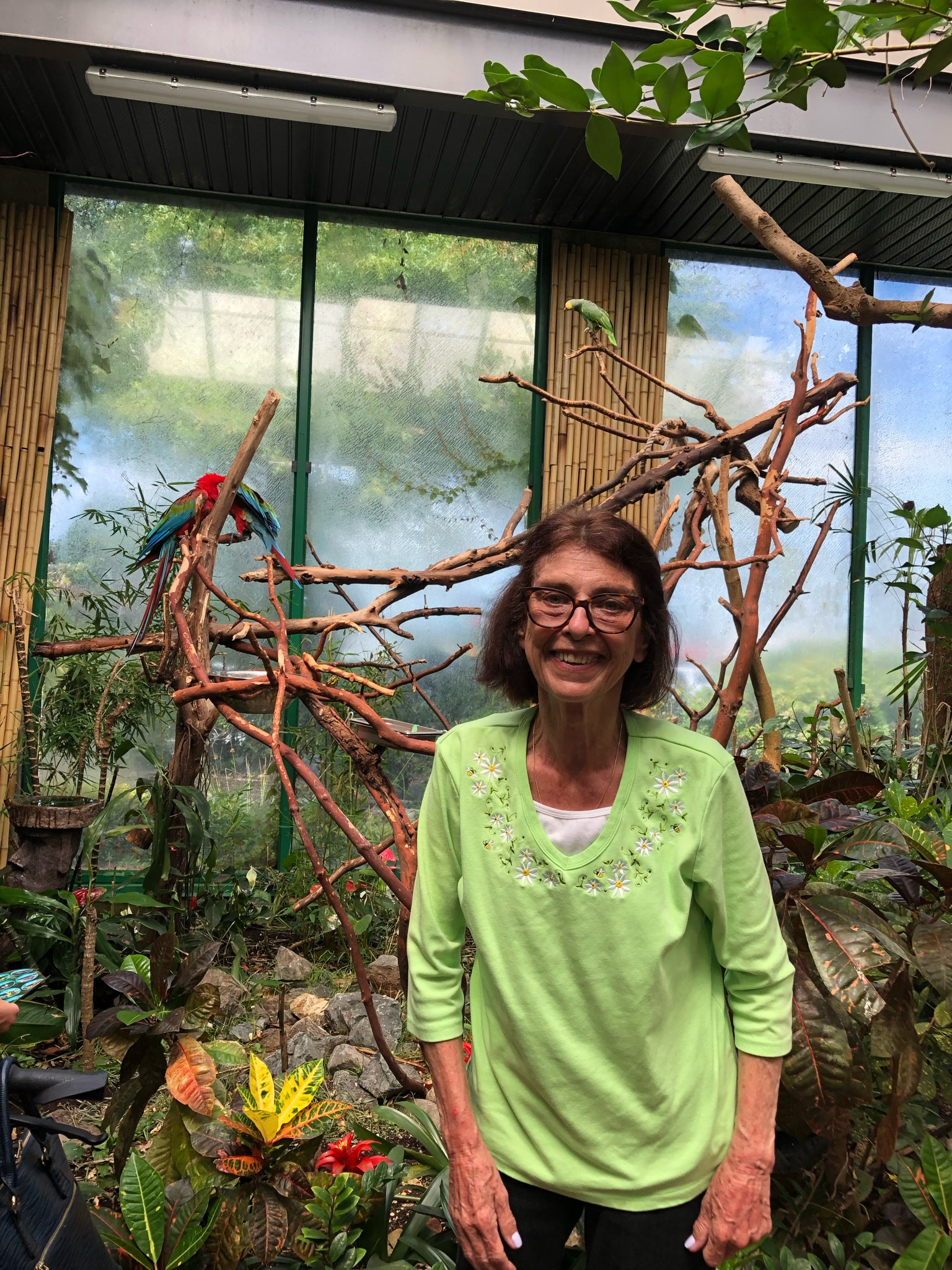 Francine Hiebert