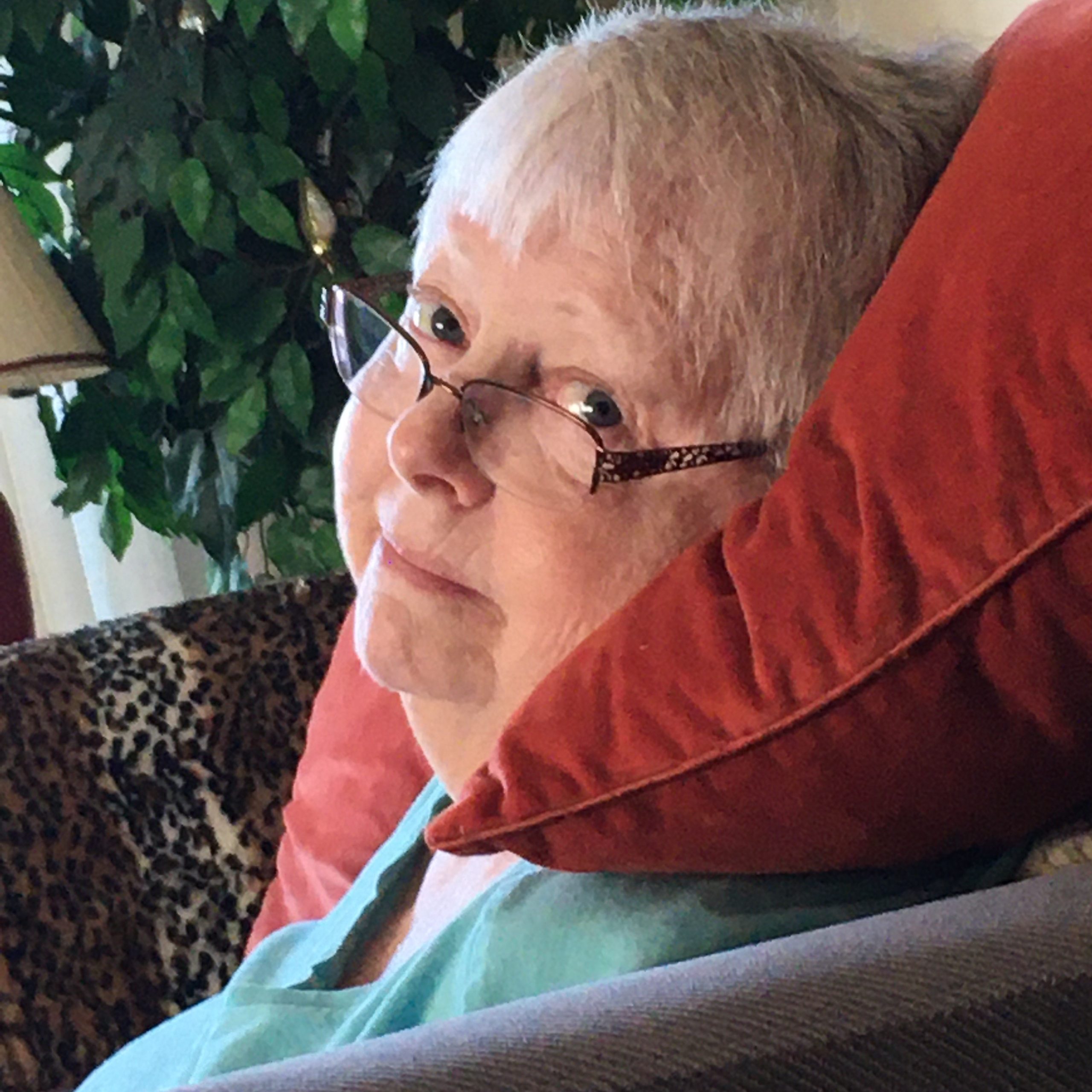 Terry Eileen Mulholland
