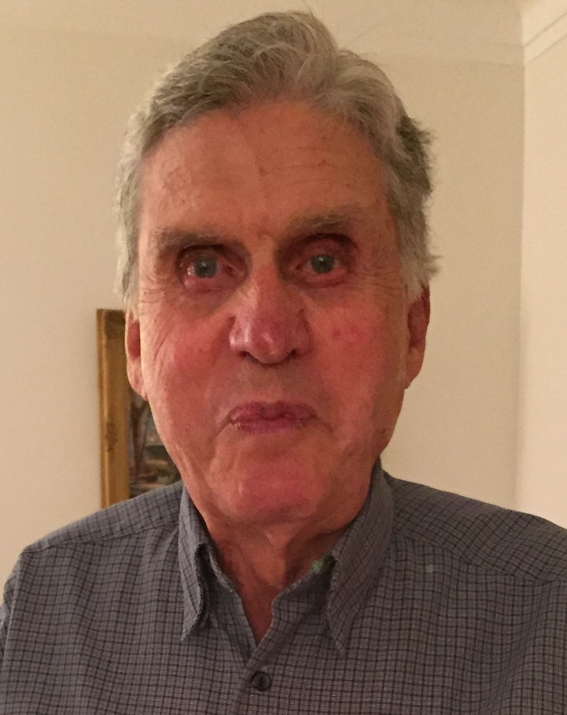 Alvin Ross